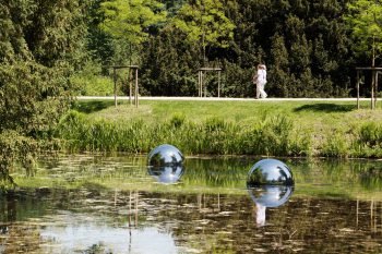 Bubbles-Philipp-Dreber_1